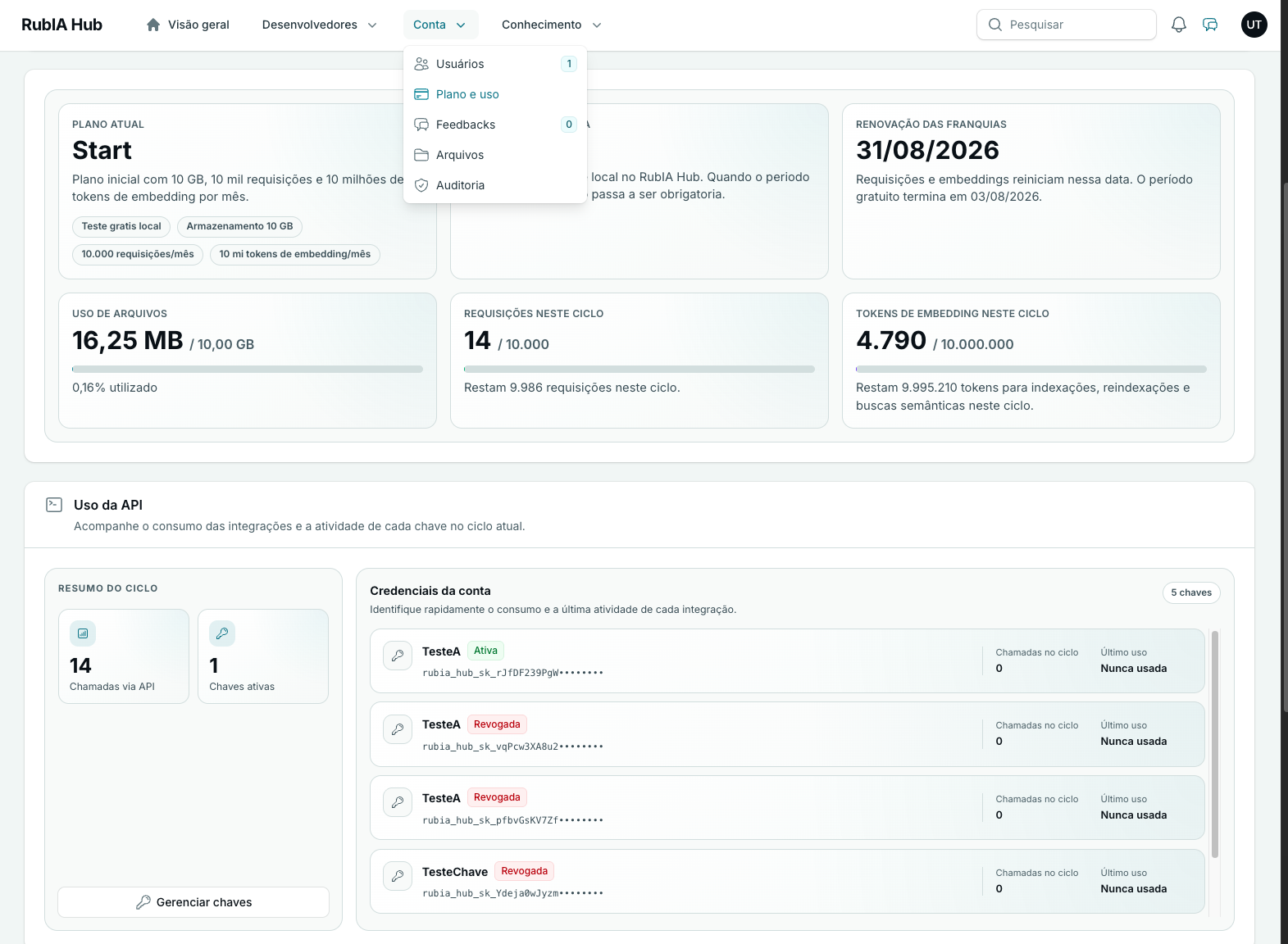 Painel do RubIA Hub com plano, franquias, consumo e credenciais da API